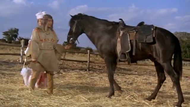 Петролотърсачките