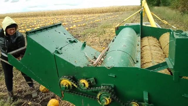 Ловол 244 з гарбузовим комбайном смотреть онлайн