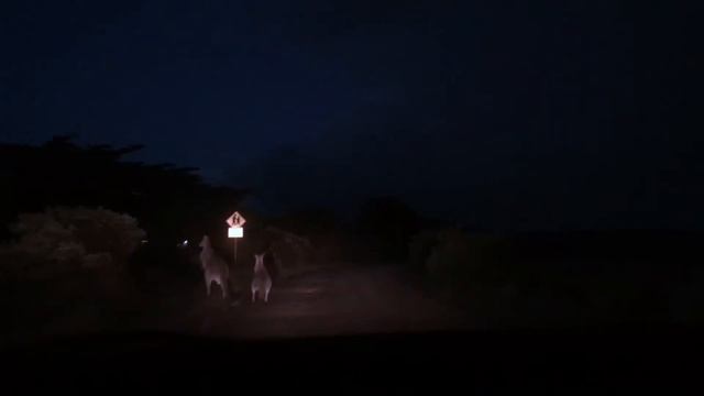 Road tripping the Great Ocean Road смотреть онлайн