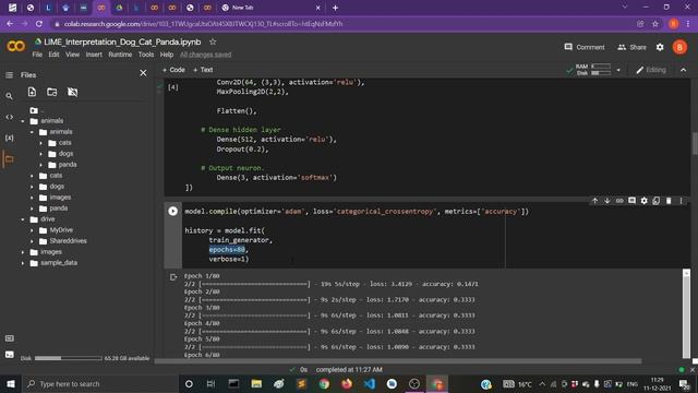 Explaining Image Classification via LIME Library in Google Collab смотреть онлайн