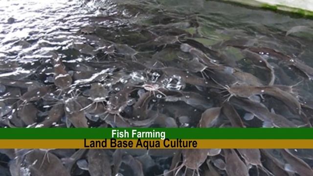 AQUA FARMING LAND BASE 29 9 23 смотреть онлайн