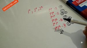 Задача на группы крови. ЕГЭ.