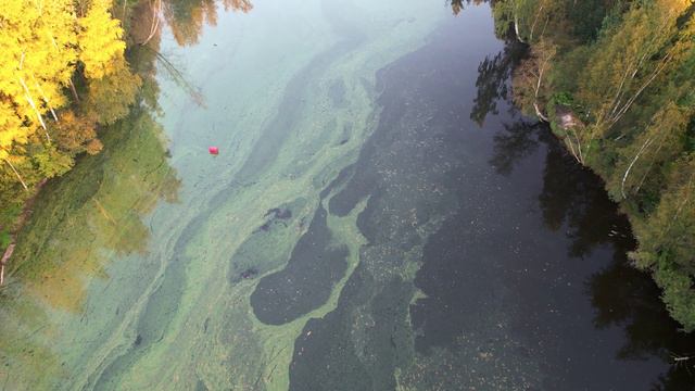 Лахтинский Разлив