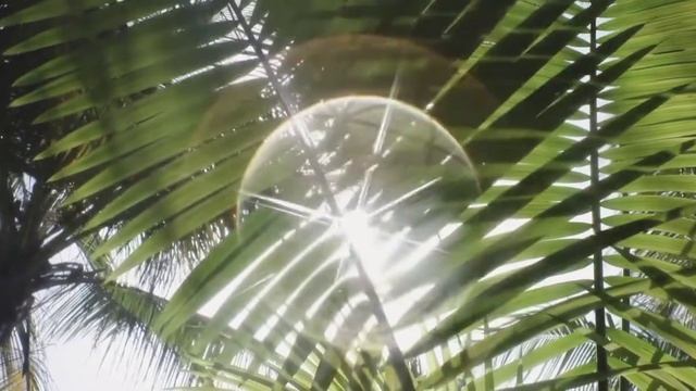 САМАЯ МОЩНАЯ ПРАКТИКА??СЧАСТЬЕ И БЛАГОДАРНОСТЬ