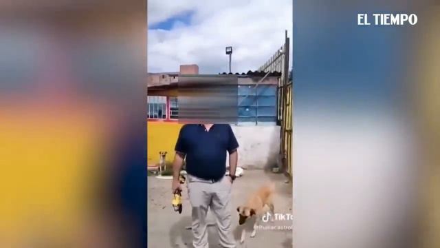 Este es el video de un intento de homicidio, clave en caso del crimen de Roberto Franco смотреть онлайн