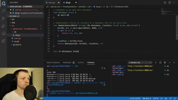 Distributed key-value db in go #1: local database