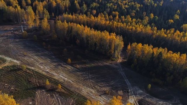 Коттеджный поселок Нордик Парк. Золотая осень. смотреть онлайн