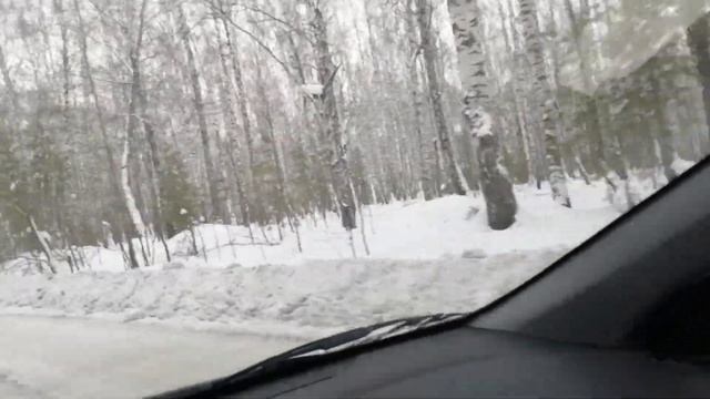 Новые пирожки на рождество, рецепт теста, новые цветы. смотреть онлайн