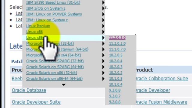 How to find the latest patchset and associated patch number for oracle смотреть онлайн