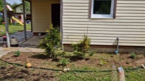 Миксбордер перед домом с нуля | Цветник своими руками