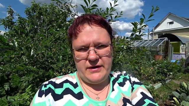 Грибковые болезни вишни. Что делать? смотреть онлайн