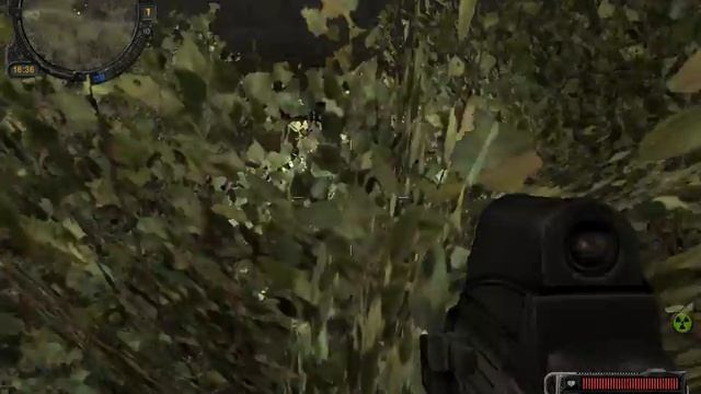 Прохождение S.T.A.L.K.E.R Зов Припяти 4 [ Тайник Коряги ] смотреть онлайн
