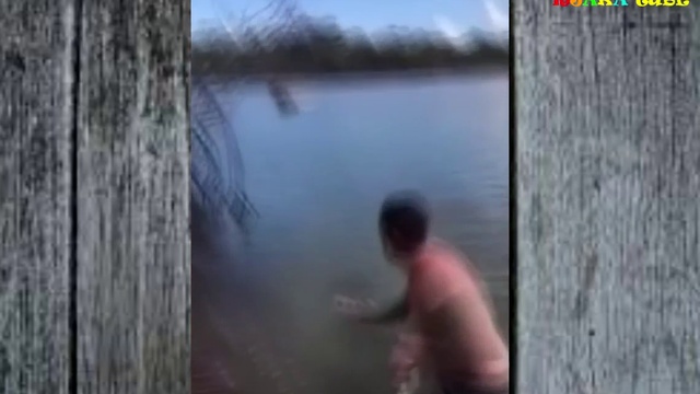 ПРИКОЛЫ с людьми и животными. Смешная нарезка. смотреть онлайн