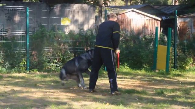 БЕТЭЛЬГЕЙЗЕ ЛАЭРС ДЖЭБЭ НОЙОН ( ПРК 12.09.15 ) смотреть онлайн