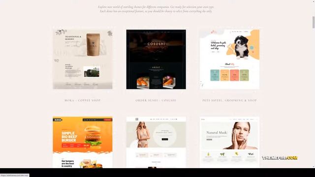 Ale - eCommerce WordPress Multipurpose Theme multipurpose ecommerce Ria смотреть онлайн