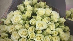 Кустовая роза Snowflake 40 см