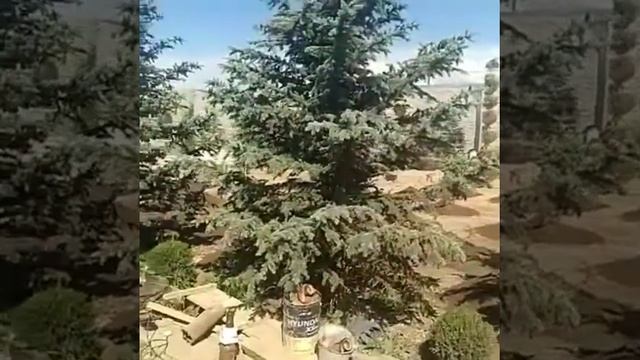 Ош, скважина 100 м. Нариман. Насос 3-фазка, 8000 л/саат. смотреть онлайн