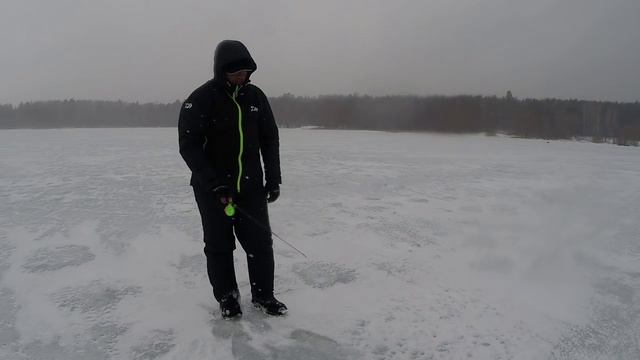 Ловля окуня на зимнюю блесну. Видео отчет от 24.03.2015 г. смотреть онлайн