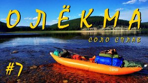 #7 Соло на Олёкме. 2022. Часть 7. Встречи с изюбрами. Переход от о.Эйенг до руч. Крестях.