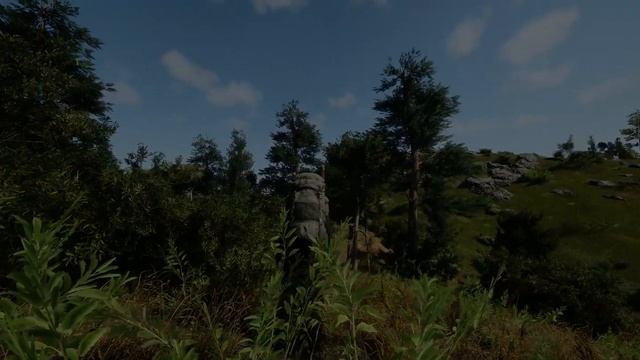 SCUM Ultra Widescreen Foliage Test смотреть онлайн