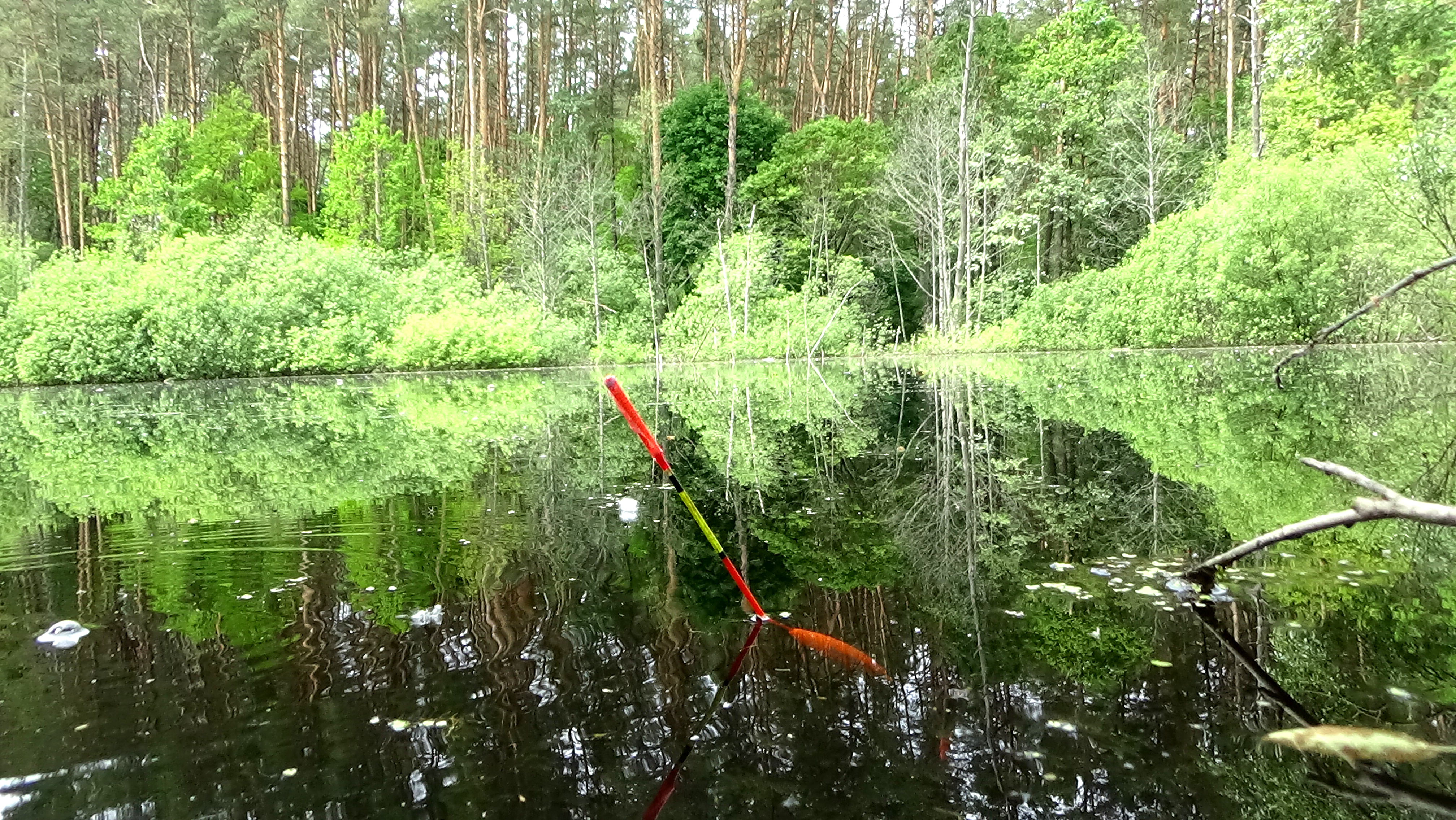 Разведка нового лесного озера по карасю. Рыбалка на поплавок