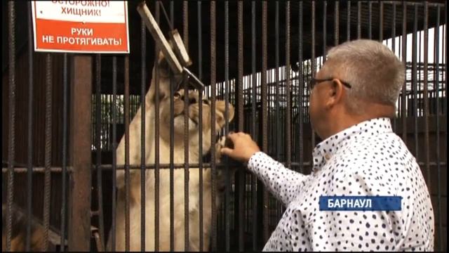 Куда владельцы диких животных отправляют их, когда звери становятся не нужны? смотреть онлайн