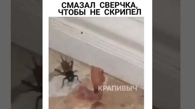 Смазал чтобы не скрипел смотреть онлайн