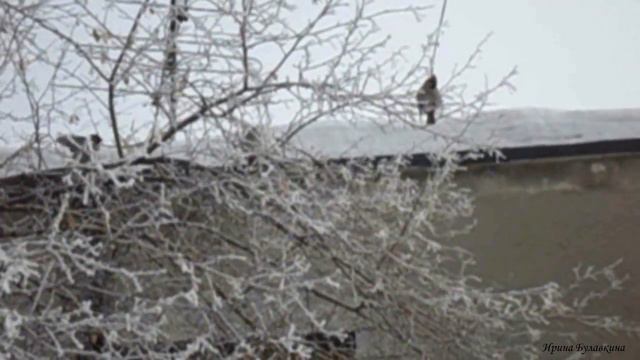 Февраль смотреть онлайн