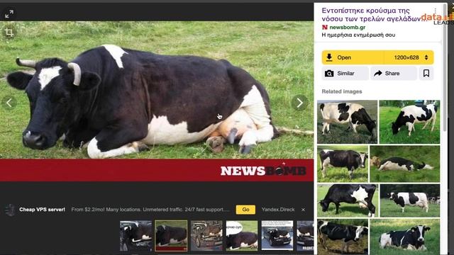 Tip Sheet: Yandex Reverse Image Search смотреть онлайн