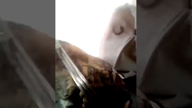 Крутой инвертор на 180 Ватт !