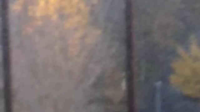 Электрический лифт ПЛЗ 2003 года выпуска скорость V=0,71 м.с грузоподъёмность 320 кг смотреть онлайн