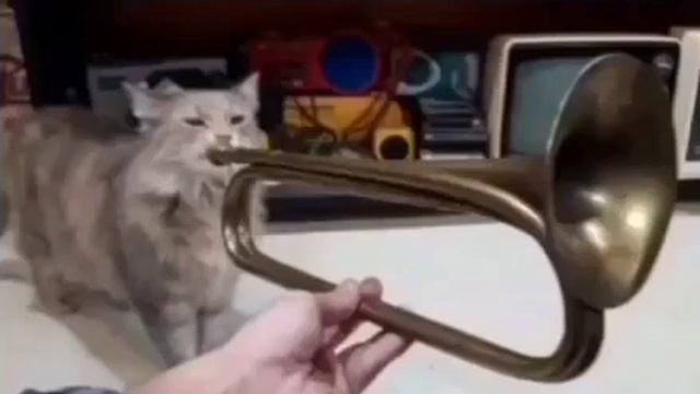 random b day video смотреть онлайн