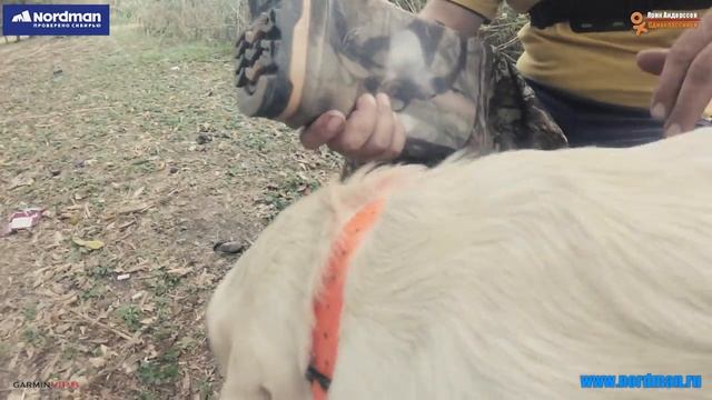 Болотные сапоги.Какие бывают?