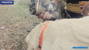 Болотные сапоги.Какие бывают?