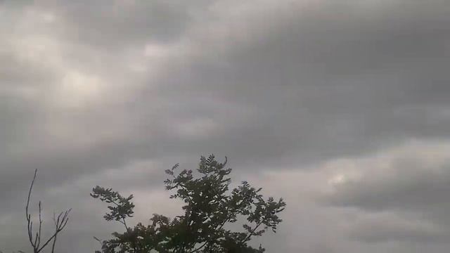 Жопа полная жопа... смотреть онлайн