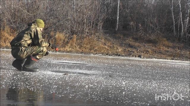 Рыбалка. Первый лёд. Ловля ротана. Сезон 2022 - 2023. смотреть онлайн