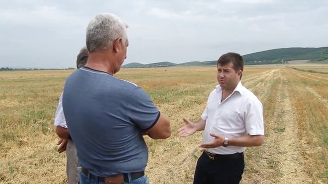 В Анапе полным ходом идет уборка зерновых смотреть онлайн