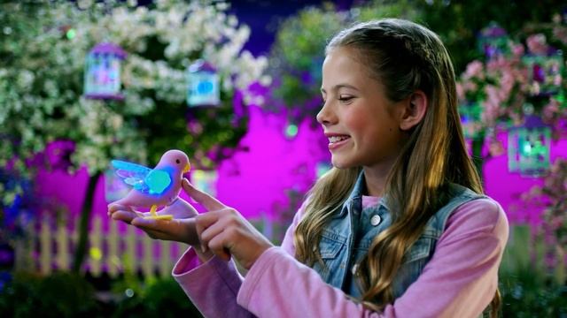 LLP Light up Birds смотреть онлайн
