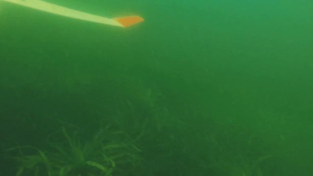 Дайвинг на озере Свитязь 2018 смотреть онлайн