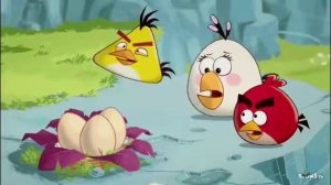 Angry birds toons dub: Ep.1