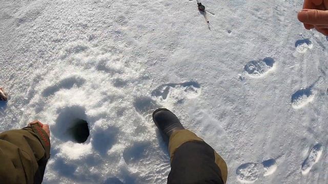 Хороший окунь, хорошее настроение. Карельская зимняя рыбалка. Зимняя рыбалка в Карелии смотреть онлайн