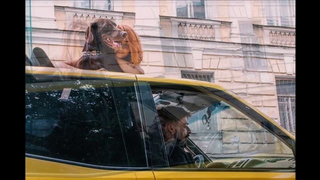 Трое в лодке, и конечно считая собаку))) 23 июля. смотреть онлайн