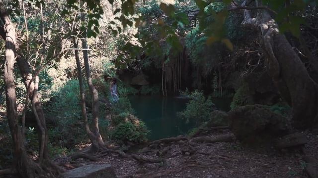 Disk 6/ Джон Кехо. Сила разума в 21 веке. Основы убеждений. смотреть онлайн