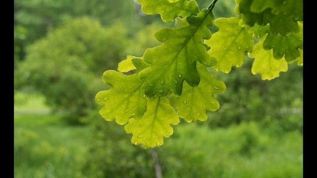 Заговор как быстро разбогатеть смотреть онлайн