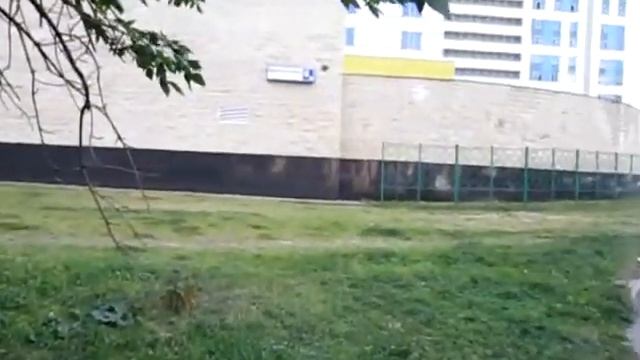 Мск Маршала Рокоссовского д 6 видео 1 смотреть онлайн