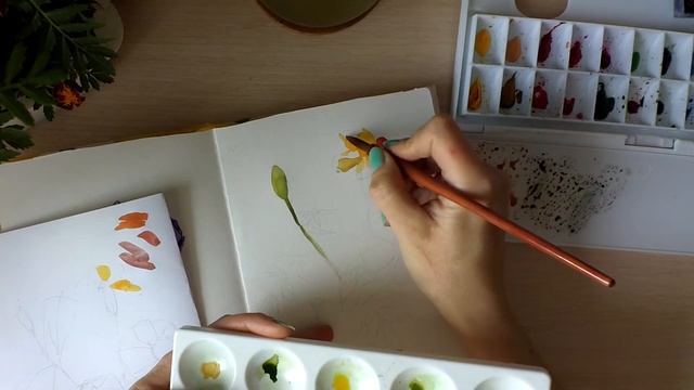 Стрим от 19.04.17 Бархатцы с натуры смотреть онлайн