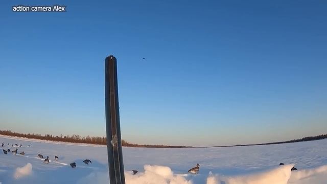 Почему вы часто стреляете мимо цели. смотреть онлайн