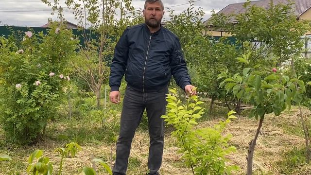 Обзор летнего сада,2 смотреть онлайн