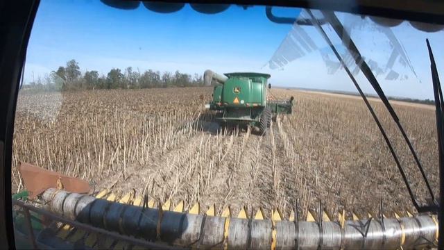 Уборка подсолнечника 2020. John Deere 9670 STS. Т 150+ ХТС. МТЗ 82+ БД3. смотреть онлайн