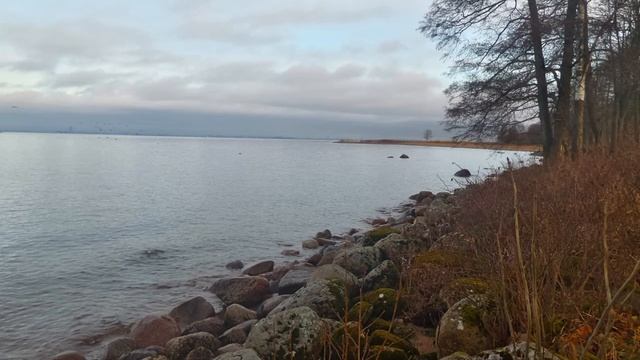 Готическая часовня Александра Невского, финский залив и парк Александрия. Петергоф. смотреть онлайн